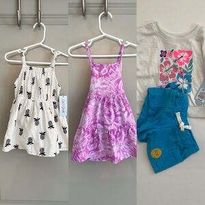 NWT! LOT! 18M Two Dresses and One Shorts Outfit!